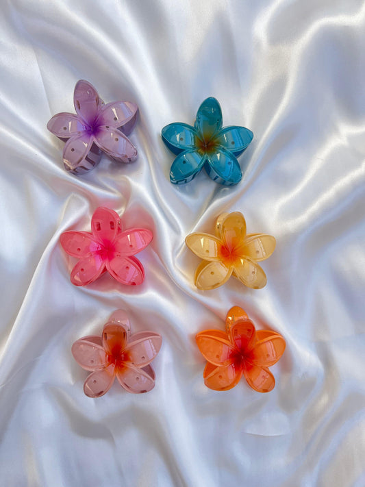 Beautiful flower clip