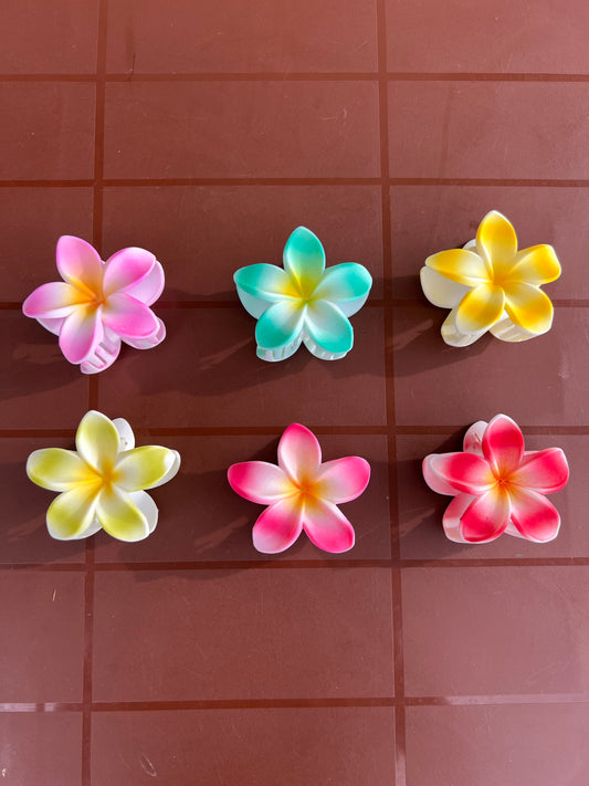 Flower -a